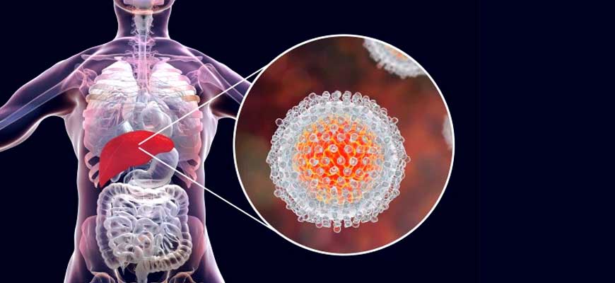 Buy Hepatitis C Medicine Online From India at Low price