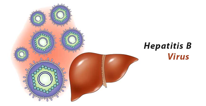 Entecavir tablets